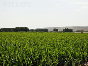 ƽ��1608-ƽ���N�I(y��)