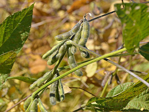 ƽ����80-ƽ���N�I(y��)