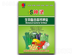 �������ϸ��}⛌�-��ʥ���� 