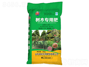 ��ľ���÷�16-4-5-��ʥ����