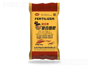 10�|���������(f��)�Ͼ���-�������S-��ʥ����