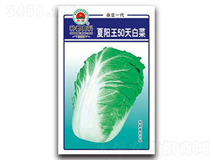 �����50��-�ײ˷N��-�߿ƷN�I(y��)