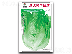 �������Y(ji��)��-���˷N��-�߿ƷN�I(y��)