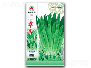 ����-�����˷N��-�߿ƷN�I(y��)