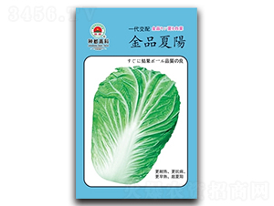 ��Ʒ���-�ײ˷N��-�߿ƷN�I(y��)