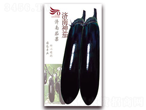 ��(j��)������-���ӷN��-�ѹ��N�I(y��)