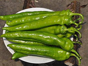 ����902-�⽷�N��-ɣ�r(n��ng)�N�I(y��)