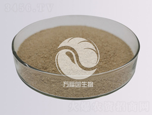 20�|���ϔM��ù-�f���@����