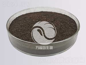 50億黑曲霉-萬(wàn)福園生物