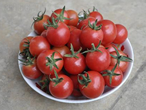 ����-���ѷN��-ɣ�r(n��ng)�N�I(y��)