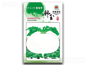 �n��-�}���N��-�߿ƷN�I(y��)