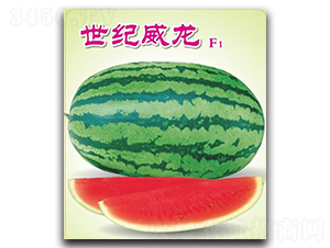 ���o(j��)����-���ϷN��-�߿ƷN�I(y��)