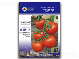 ����8228-���ѷN��-�߿ƷN�I(y��)