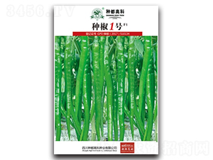 種椒1號(hào)-辣椒種子-高科種業(yè)