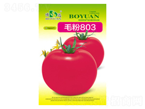 ë��803-���r(n��ng)�N�I(y��)