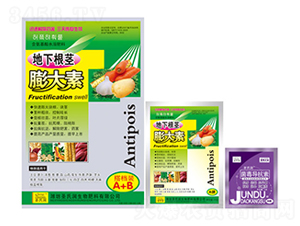 ���������-ʥ�ϝ�