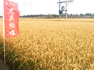 ���c��4̖(h��o)-С���N��-���S�N�I(y��)