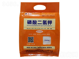 1000g��������-����-�ư�