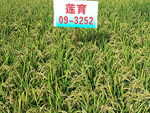 ɏ��09-3252-ˮ���N��-ɏ�R�r(n��ng)�I(y��)