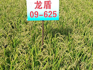 ����09-625-ˮ���N��-ɏ�R�r(n��ng)�I(y��)