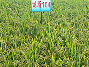 ����104-ˮ���N��-ɏ�R�r(n��ng)�I(y��)