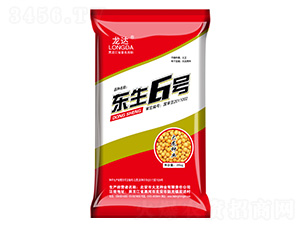 �|��6̖(h��o)-���_(d��)-�����N�I(y��)