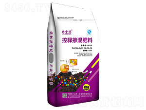 ��ጓ������19-13-19-�W�׬�