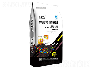 ��ጓ������26-10-12-�W�׬�