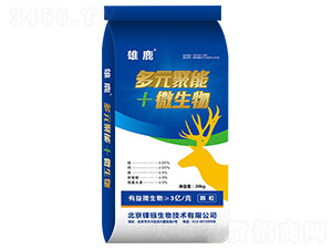 ��Ԫ����+΢����-��¹-��j����