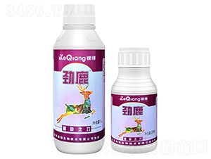 ��̼֮��-��¹-��j����