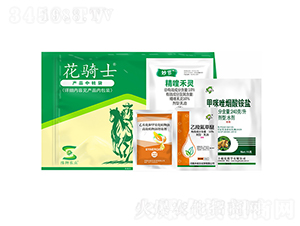 ���݄��ײ�-���Tʿ-�S�՘�(l��)