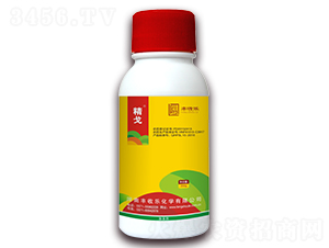 20%���@�-����-�S�՘�(l��)