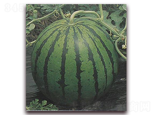 �İ�����-���ϷN��-���\(ch��ng)�N��