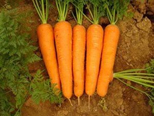 �紺100���}��-���}���N��-���\�N��