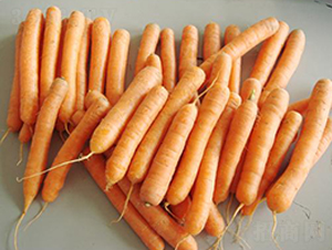 С����ʳ���}��-���}���N��-���\�N��