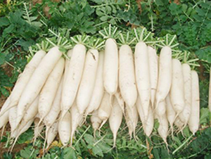 ���Ѱ��}��-�}���N��-���\�N��