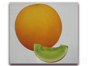 ���������-��ϷN��-���\(ch��ng)�N��