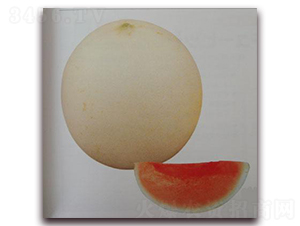 ���������-��ϷN��-���\�N��