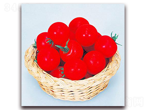 �t��С����-���ѷN��-���\(ch��ng)�N��