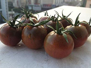 ����150����F1-���ѷN��-���\(ch��ng)�N��