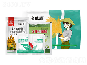 ���}��-�S�՘�(l��)