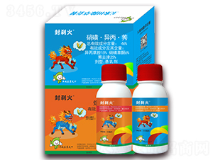 46%���ǡ�������ݬ+8%���׻�¡-��x��-�S�՘�(l��)