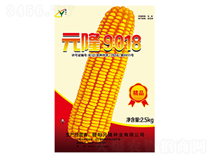 Ԫ¡9018�N��-Ԫ¡�N�I(y��)