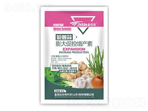 蔥姜蒜膨大促控增產(chǎn)素-金吉達