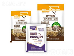 生根壯苗劑-金吉達(dá)