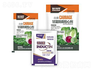 甘藍(lán)防腐包心劑-金吉達(dá)