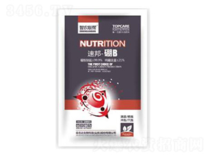 速邦-硼B(yǎng)-金吉達(dá)