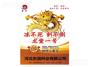 ��?zh��)�һ�?h��o)-�|��