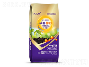 ̼ø��-ʢ����-ʢ�SԴ