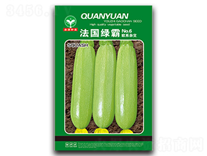 �����G��-�����J�N��-ȪԴ